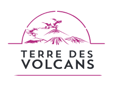 type de Volcanisme et plaques tectoniques
